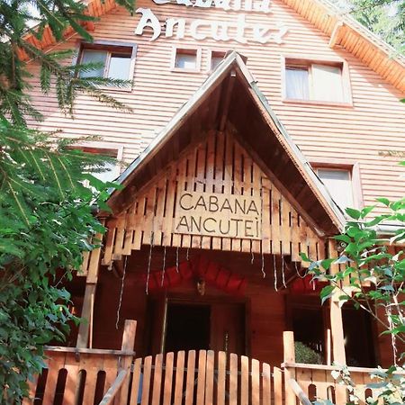 Cabana Ancutei Rucăr Dış mekan fotoğraf