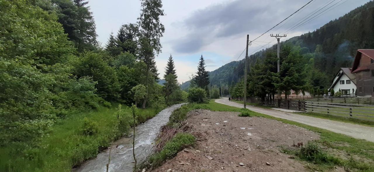 Cabana Ancutei Rucăr Dış mekan fotoğraf