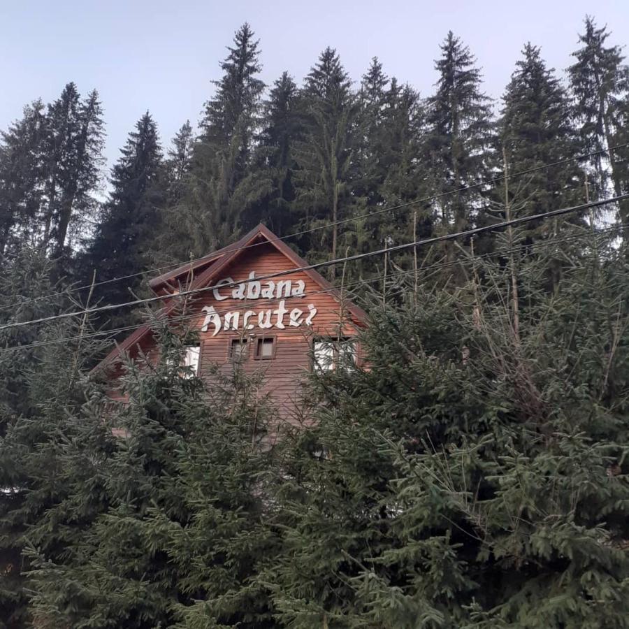 Cabana Ancutei Rucăr Dış mekan fotoğraf
