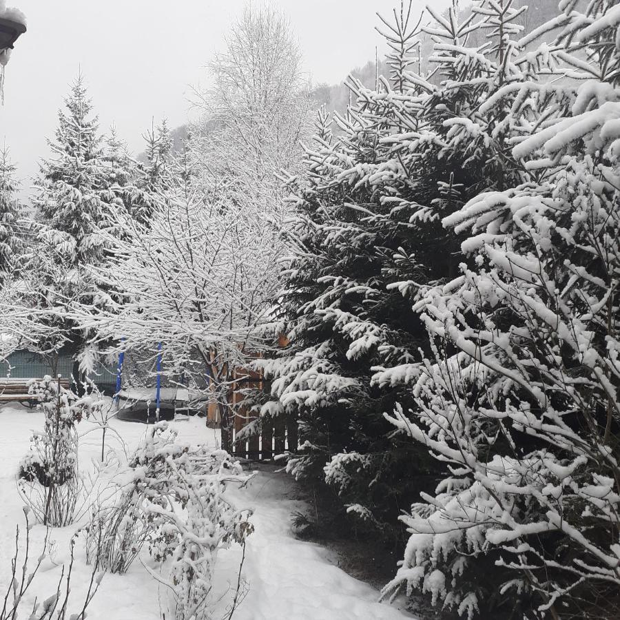 Cabana Ancutei Rucăr Dış mekan fotoğraf