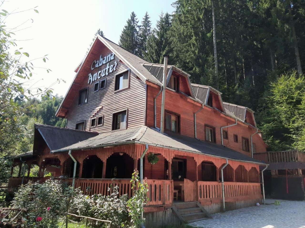 Cabana Ancutei Rucăr Dış mekan fotoğraf