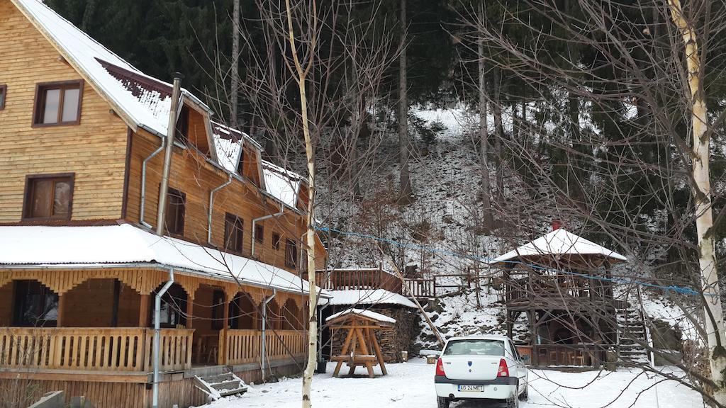 Cabana Ancutei Rucăr Dış mekan fotoğraf