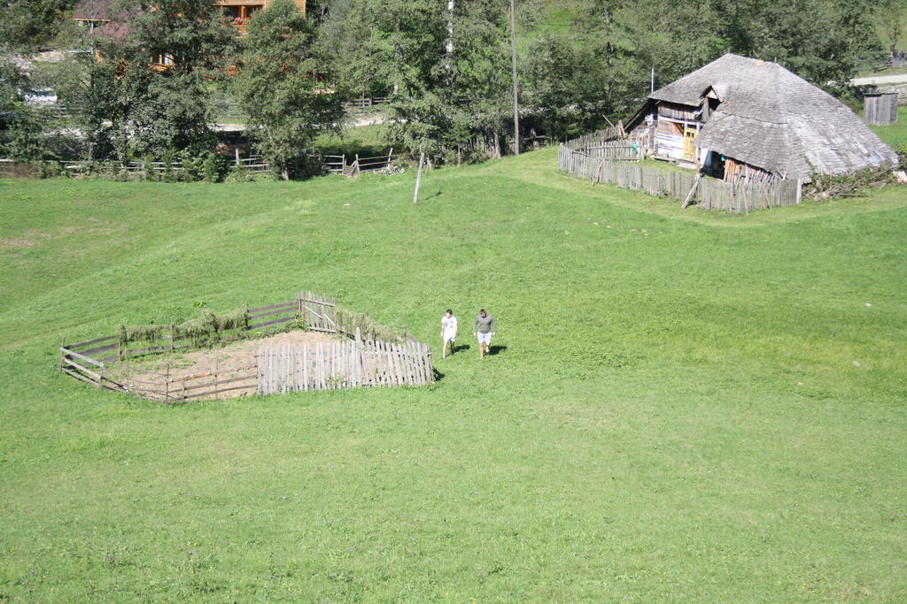 Cabana Ancutei Rucăr Dış mekan fotoğraf