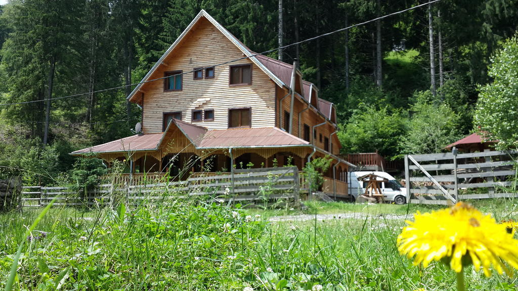 Cabana Ancutei Rucăr Dış mekan fotoğraf