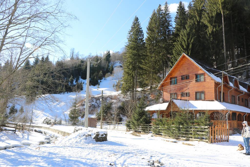Cabana Ancutei Rucăr Dış mekan fotoğraf