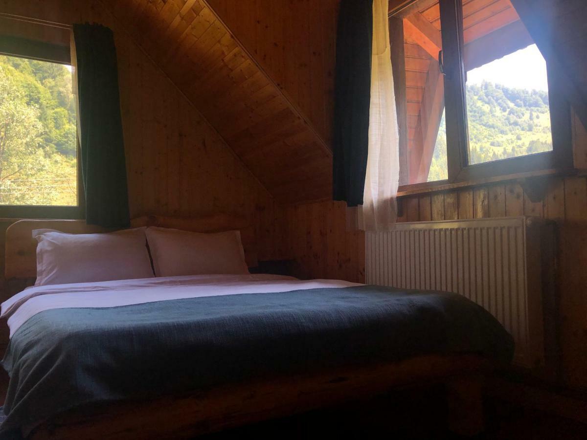 Cabana Ancutei Rucăr Dış mekan fotoğraf